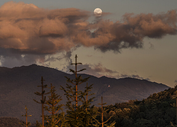 ��Ӣ����Ʒ���� ��⡱