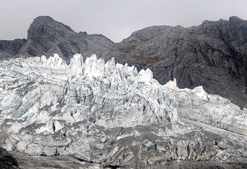 ��Ӣ����Ʒ���� ��⡱