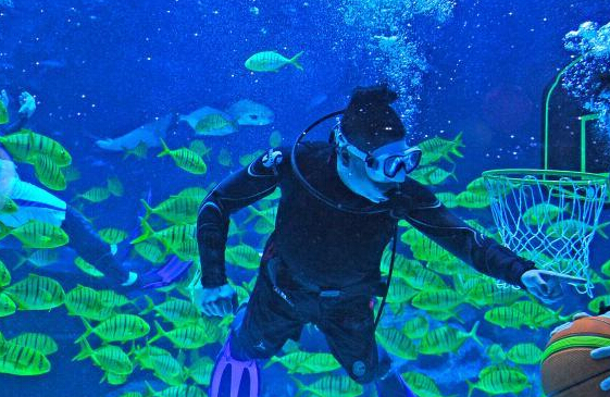 ���ٰ��׽캣�ס�����������