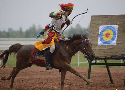 ��ʮ�����������˶��� ���ϱ���������