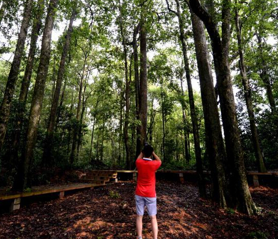 ����������ɳ�ľ�ַ���ǧ�ꡱ