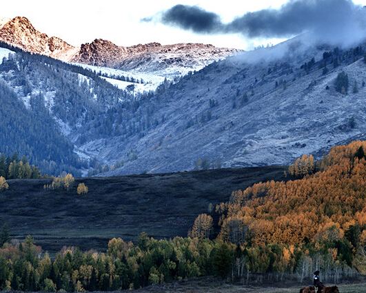 ��Ӣ����Ʒ���� ��⡱