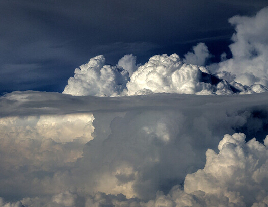 ��Ӣ����Ʒ���� ��⡱