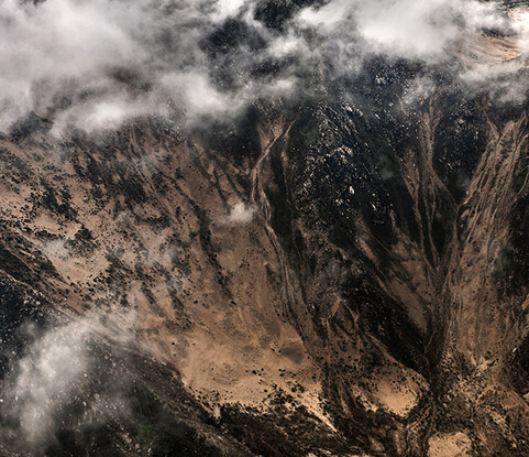 ��Ӣ����Ʒ���� ��⡱