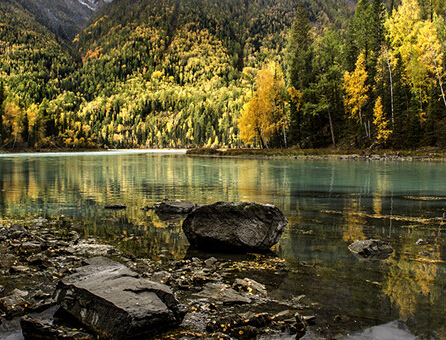 ��Ӣ����Ʒ���� ��⡱