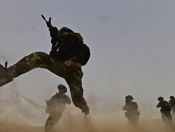 �����ɳ��������