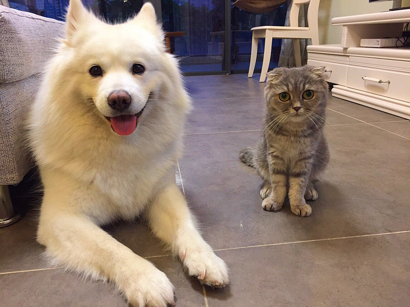 ΢��ʮ������ȳ���̵� ����һ��Ѫ����