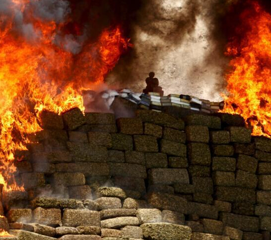 ī��������ٻٰ���ֶ�Ʒ �ֳ�Ũ�̹�����