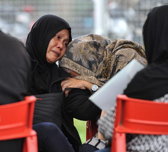 ����ӡ����������������˵�ɭ���������