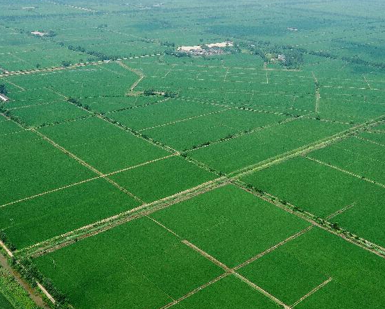 ۶����԰�������