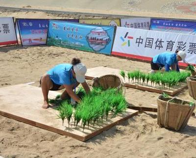 �㽭�����˶��� ��ҵ��ҵ��Ϊ�˶�������Ŀ��