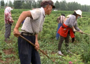 ���������뷢�� Χ���ذ���������ũҵת��������