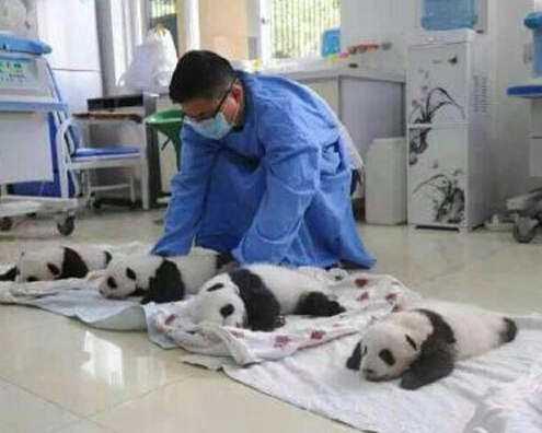 ����������è�����״����� ��С�Ĳ���1�ܡ�