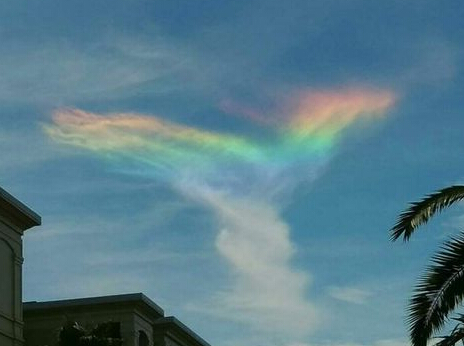 ���������ĵ����չ�ᡰ��ʺ硱��