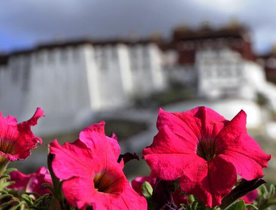 ��ɣ��ʢ����ѩ���ԭ������������ƶ������صĳɹ�ʵ����