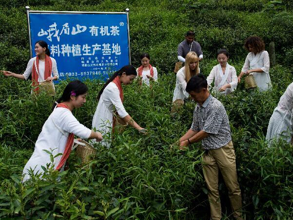 ŷ����è��˿������Ļ���