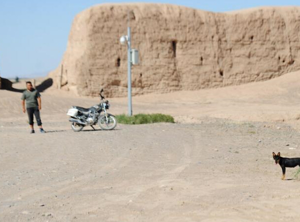 河西走廊古城“90后”守护者 流浪狗作伴”