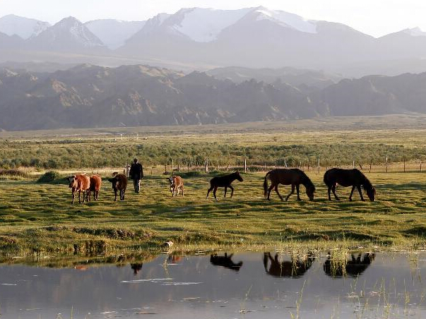 ��������ԭ��̬����