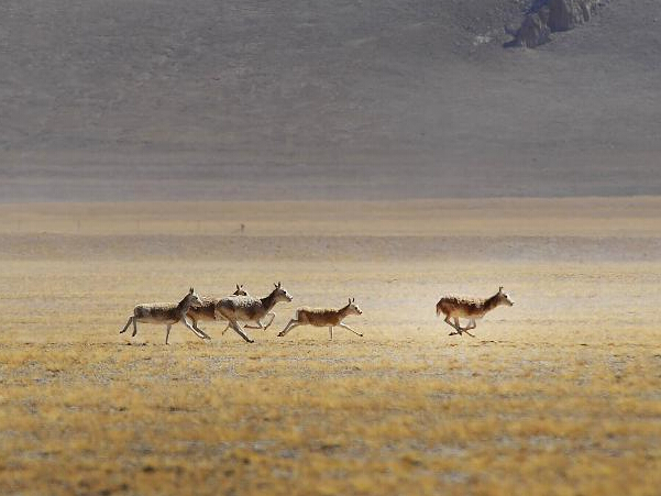 ���أ���ˮ��ɽ���� ѩ��ʥ�����ɡ�