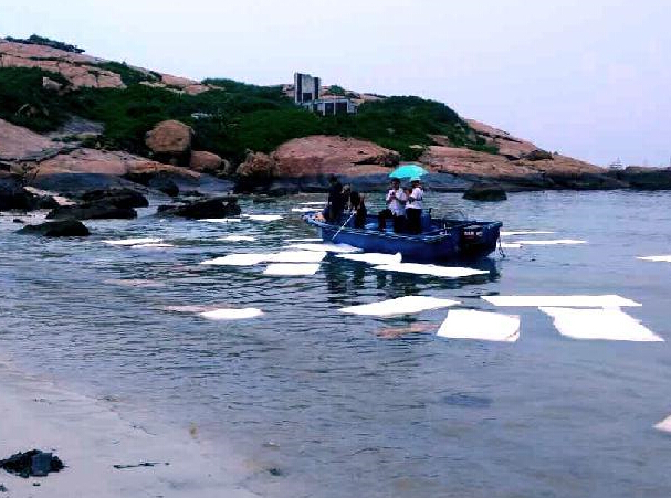 �麣���嵺������Ⱦ���������