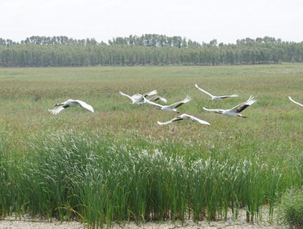 ���Ӻ���ͨ����ˮ��ʪ�ء�