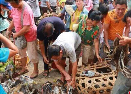 ���������ڡ����ϴ�˵��Ѽ���������ǡ�