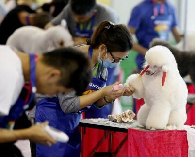 ��������ʦ��Ȼ�ܳ衱