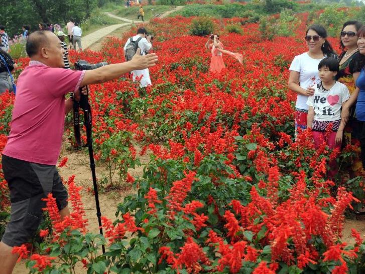 �����ĺ��򣺡����򾭼á��ڻ��������š�