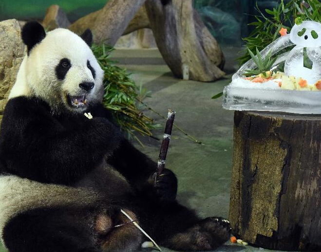 �����š���ԲԲ����11�����ա�