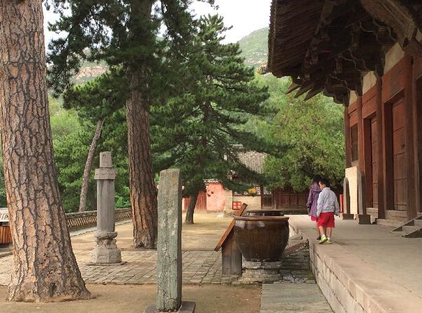 ̽���й��ִ��ģ����ƴ���������¡�