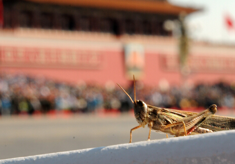 ��ͼ�������е�ο��ı���