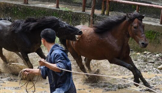 ������������������ ��ƥ�˴�Ϊ�����ա���