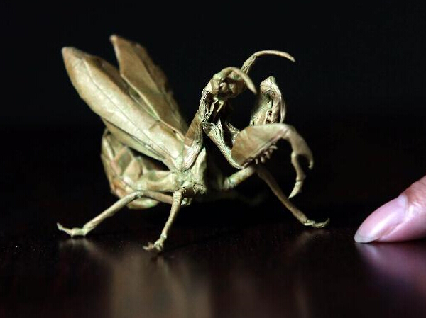 叹为观“纸””