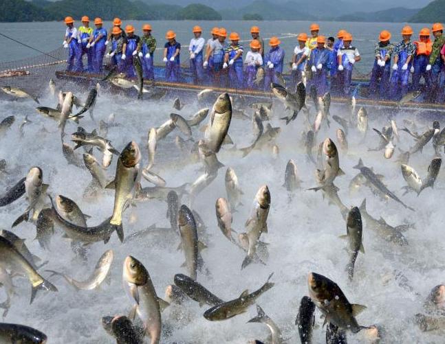 �㽭����ǧ������������ ��Ⱥ���ڳ���׳�ۡ�