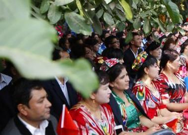 �½�Ҷ�Ǻ��Ҳ�ժ�� ��������������ִ����ںϡ�