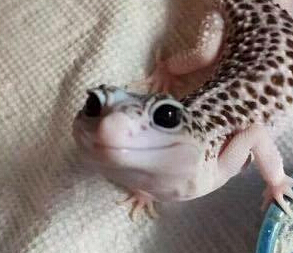 ��ѧ��������ѡ������С��� ���Ѽ���ɹ���ա�