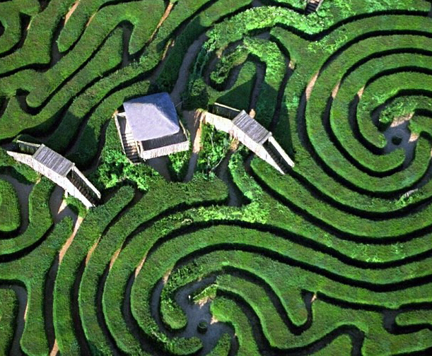 �̵����������˼����Թ���