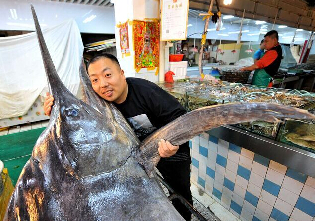 �ൺ���񲶻�619�ﳬ������� ������4�ס�