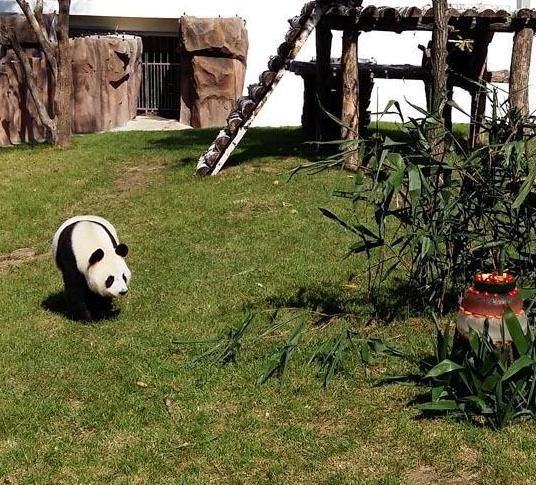 ���ӳ�������èӭ�¼��׸����ա�