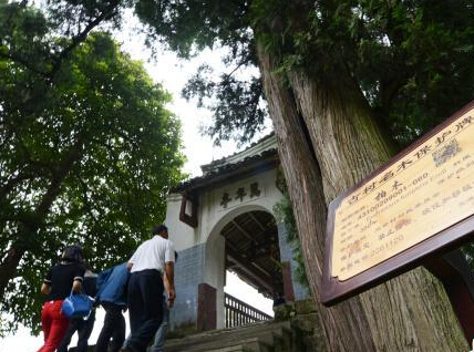 ���ϳ���Ϊ������ľ������������֤����