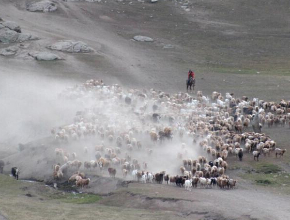 �½���������ת����ʼ��