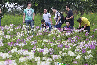 Խ����ɽ���������� ��ý���߼�֤����������η�չ��