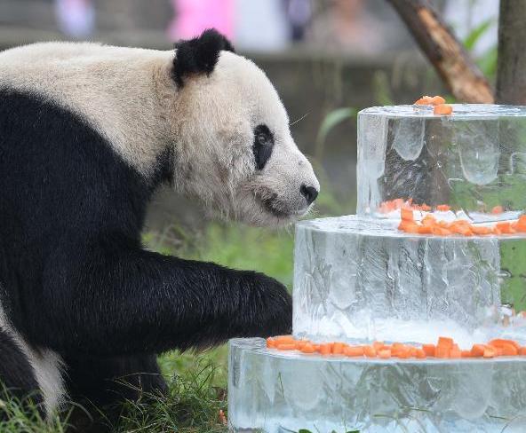 ȫ���������Դ���è�����������ꡱ ����ͬ�á�