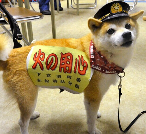 �ձ�����Ȯ���ɿɡ��������硱