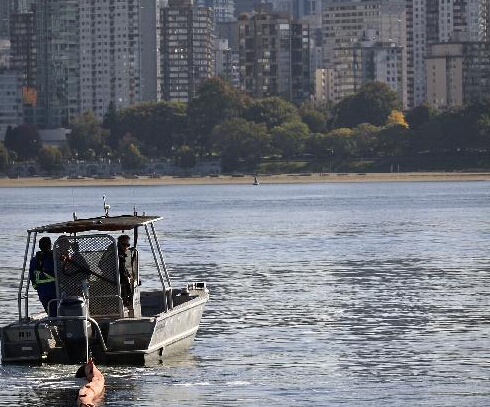 �¸绪����©���¹���ϰ��