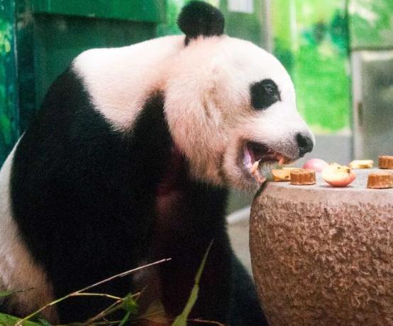 �������ݴ���è���±������