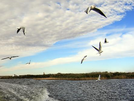 ������ľ��Ӻ����̲�����«έҡҷ �����˻�������Ȼ��