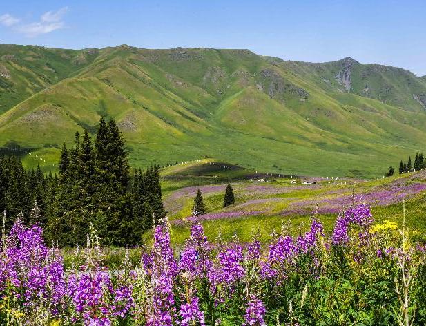 ����˵���½� �������ϡ����½�60��ʵ����ʷ�Դ��Խ��