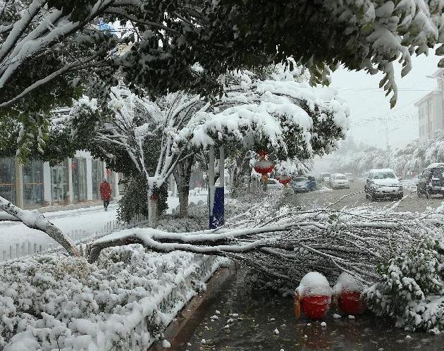 ������ܽ���ѩ��