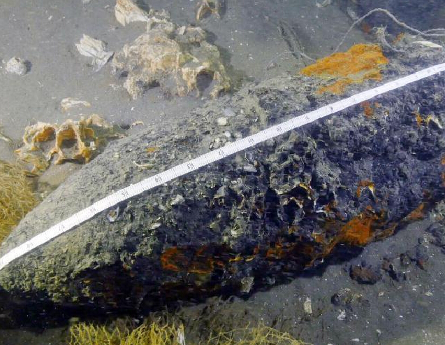 ������Ա�ڻƺ����ּ��纣ս��������Զ������